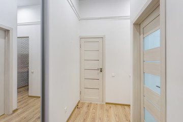 door in modern entrance hall of corridor in expensive apartments
