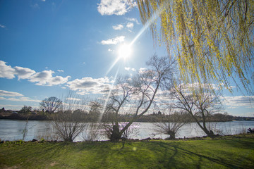 Deserted and beautiful Dyke at the Weser river in Bremen at the sun