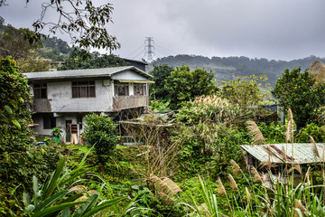Fototapeta premium Taiwanese beautiful nature full of green plants and trees