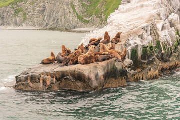 Fototapeta premium Scenic high rocks in the Pacific Ocean. Kamchatka Peninsula.