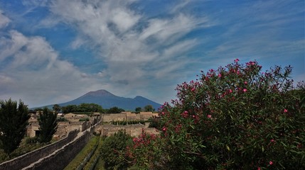 Stone houses with meadow and flowering bushes in Naples Italy with the Vesuvius volcano in the background