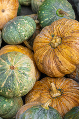 Various pumpkins background