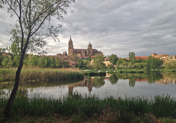 View of the cathedral of Salamanca from the Tormes river