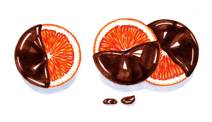 Chocolate covered orange. Marker food illustration.