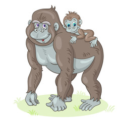 Big, cute gorilla mother with a baby on her back. In cartoon style. Isolated on white background. Vector illustration. © Shvetsova Yulia