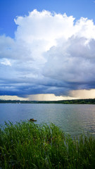 a beautiful blue-white rain cloud over the lake against the blue sky, rain lines are on the horizon, in the foreground of the frame high green grass is waving in the wind
