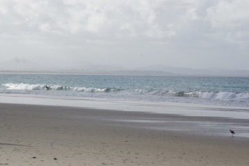 Byron Bay Beach