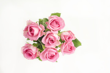 beautiful pink roses on the white background top view. Isolated. Greeting card.