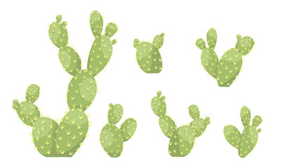 Set of large green cacti Opuntia. Plant of America. Vector illustration