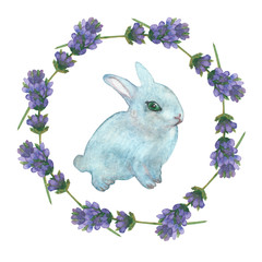 Watercolor hand painted nature easter holiday composition with blue little rabbit and circle purple lavender flower branches frame on the white background for invitations and greeting cards