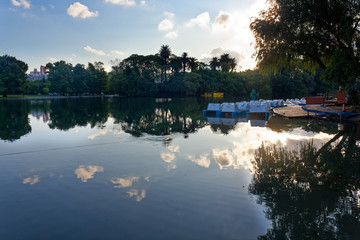 Trees and green vegetation reflection on water in a lake in the city