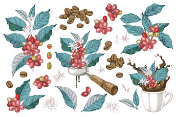 Coffee designs set with branches, beans, portafilter and cup with splash