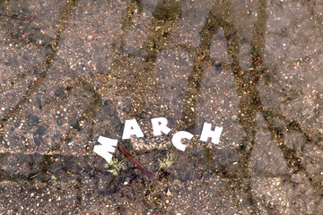 The word MARCH in paper letters on a background of water in which the tree is reflected.