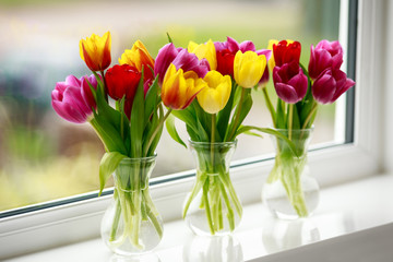 Still life with colorful tulip flowers bouquet in three glass vases on window sill