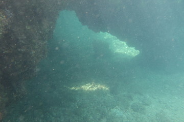  Underwater photos from Albania © moniadk