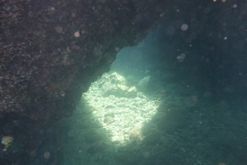 Underwater photos from Albania © moniadk