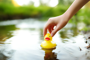 Close-up on childs hand playing by a river with rubber duck. Child having fun with water on warm...