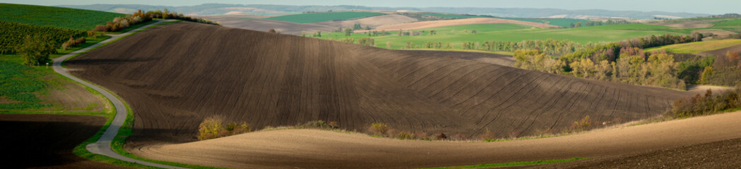 Obraz premium A very large panorama of the beautifully undulating plowed Moravian fields with an asphalt road