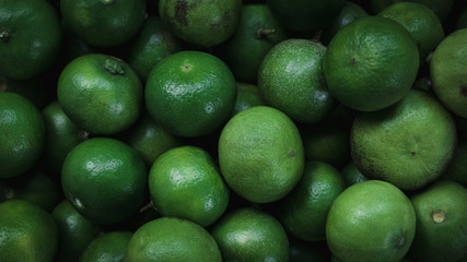 Fresh green lemon in dark light