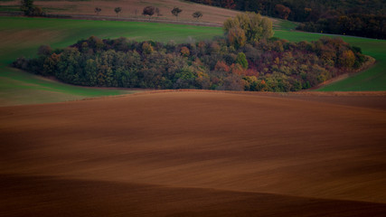 Fototapeta na wymiar Moravian landscapes of wavy fields with a wealth of colors