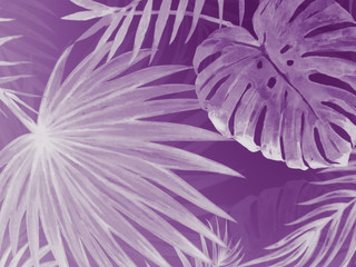 Obraz premium Beautiful abstract color white purple three leaves marble on white background, black purple granite tiles floor on purple background, love white leaves banners graphics, art decoration, purple flowers