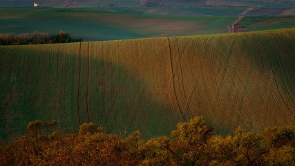 A wonderful morning in the Moravian fields in autumn. Beautiful colours
