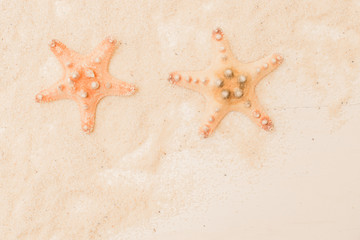 Fototapeta na wymiar Flat lay composition with color starfish and sand