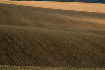 Beautiful harsh landscape of plowed Moravian fields in the autumn season