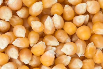 Dried corn seeds