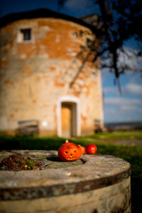 Picnic under a decorated deciduous tree in the background a stone windmill. Sunny autumn day. Czech Republic, Moravia