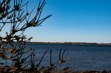 beautiful sky by the ocean