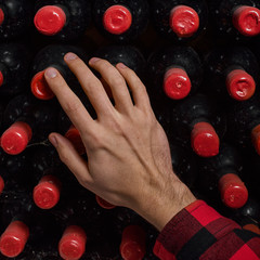 Close-up Male hand bottled wine wine. several bottles of wine in row in cellars of winery or...