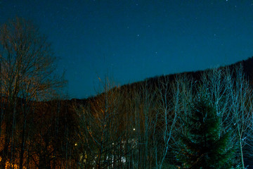 Night sky over a mountain forest