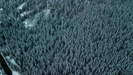 Winter Snow coniferous forest Carpathians Ukraine aerial photography.