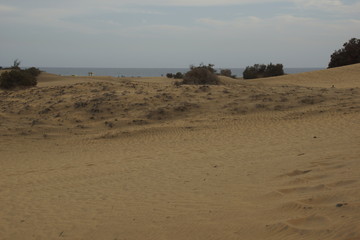 dunes de sable de Maspalomas