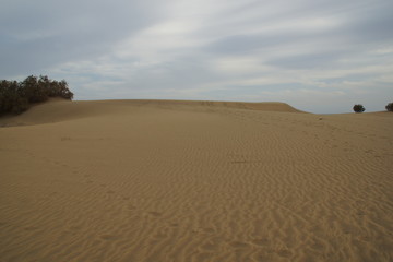 dunes de sable de Maspalomas