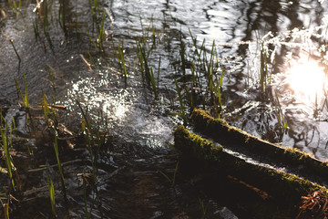 The sun is reflected in the lake, the glare of the rising sun on the surface, warm sunny spring.