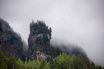 fog in the mountains