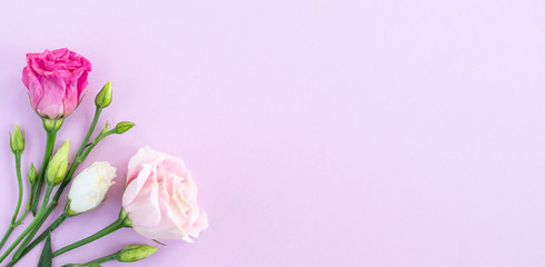 Flat lay with flower composition. Frame of rose flowers on pink background. Minimal spring concept. Top view, copy space, banner