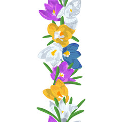 Hand drawn mauve crocus flowers seamless brush. Floral design element. Isolated on white background. Vector illustration © akini