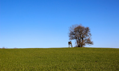 Landcshaft Mecklenburgische SChweiz