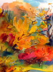 Obraz na płótnie Canvas Watercolor colorful bright textured abstract background handmade . Mediterranean landscape . Painting of the park in autumn , made in the technique of watercolors from nature