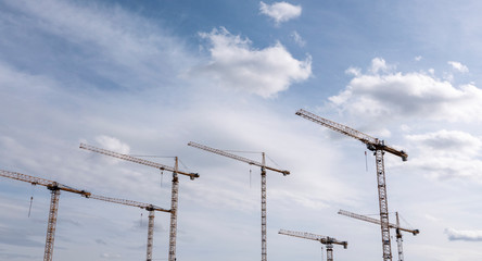 Kr&auml;ne auf einer Baustelle