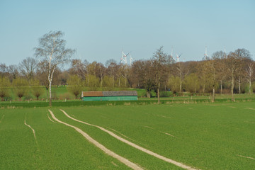 Sonniger Frühlingstag im Münsterland