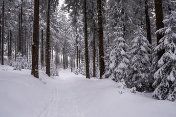 hiking path in mountains covered with snow in beautiful winter landscape