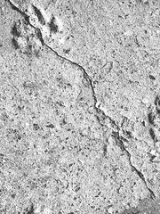 Distress old cracked concrete vector texture. EPS8 illustration. Black and white grunge background.