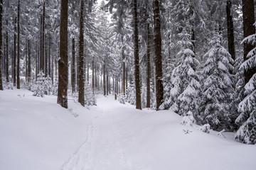 hiking path in mountains covered with snow in beautiful winter landscape