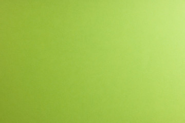 Light green paper background, copy space.