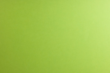 Light green paper background, copy space.