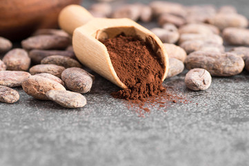 Cocoa powder in wooden scoop with raw Cocoa beans on rustic backdrop, healthy natural food